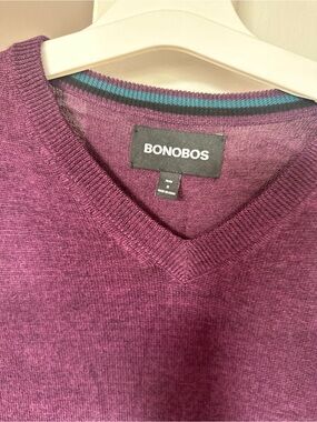 Bonobos Men's V-Neck Sweater in Plum Wine